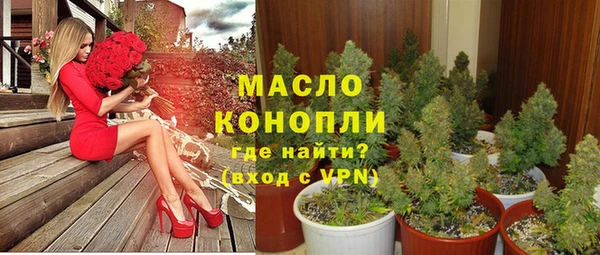 мет Ладушкин