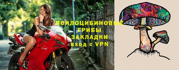 амф Лабытнанги