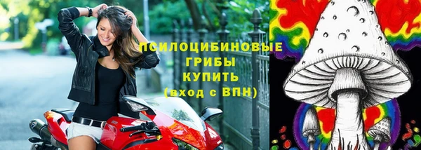 мет Ладушкин