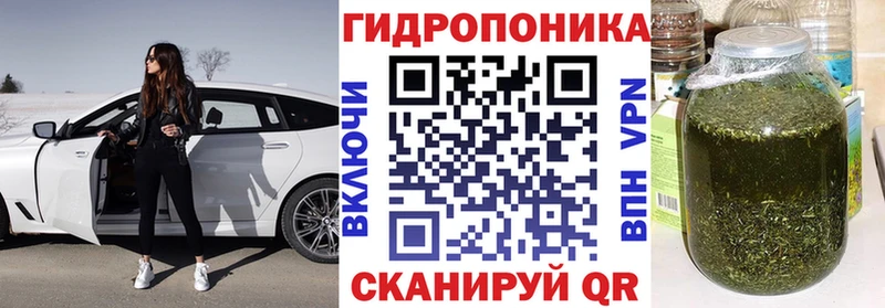 где найти Магас это формула Шишки марихуана конопля